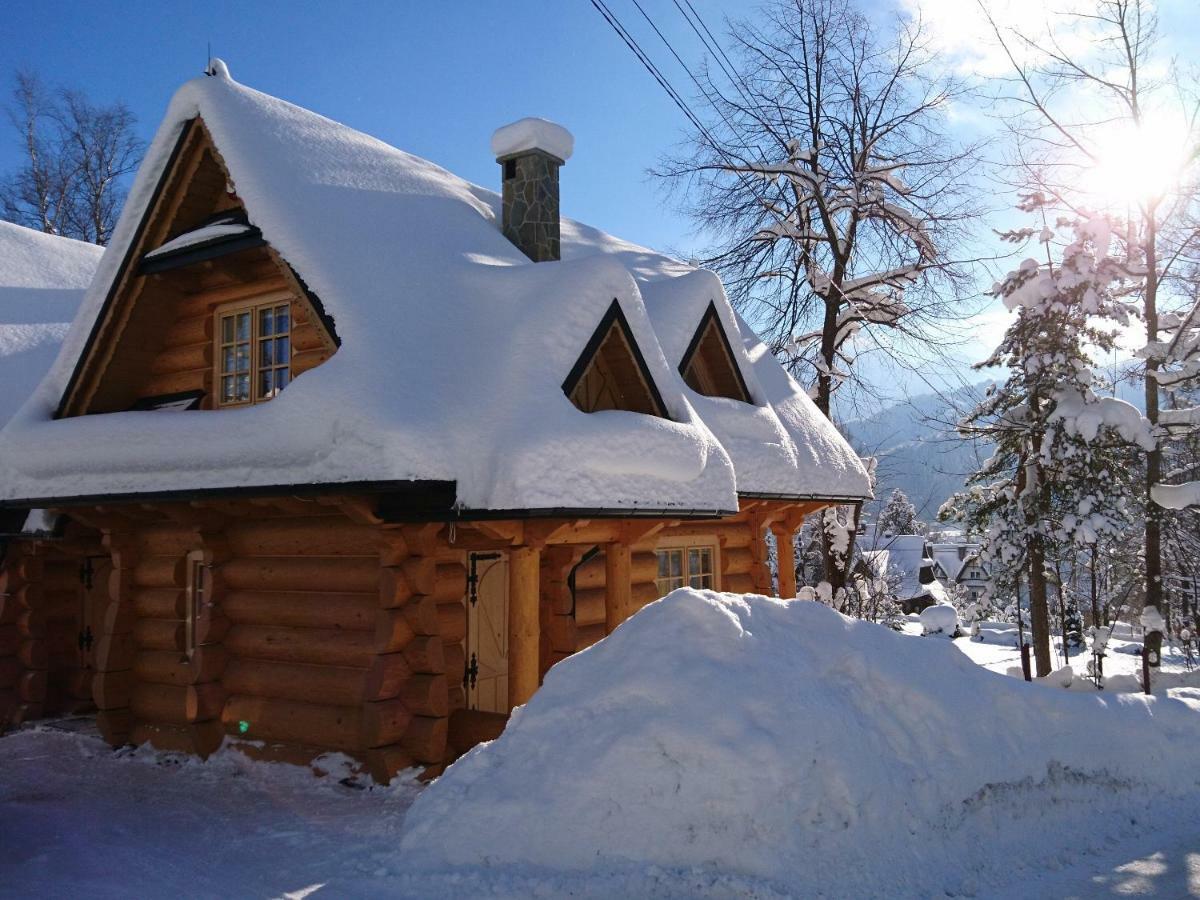 Biolo I Corno Izba Mountain Chalets Kościelisko Kültér fotó